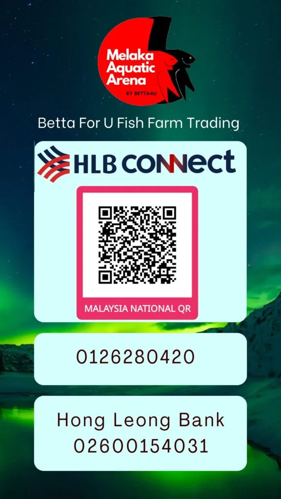 HLB Connect