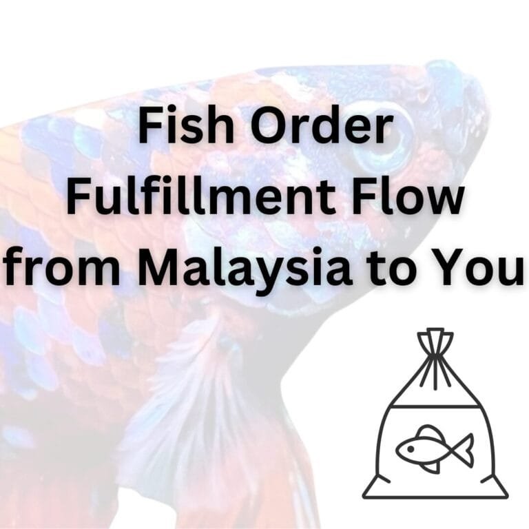 Fish Order Fulfillment Flow from Malaysia to You