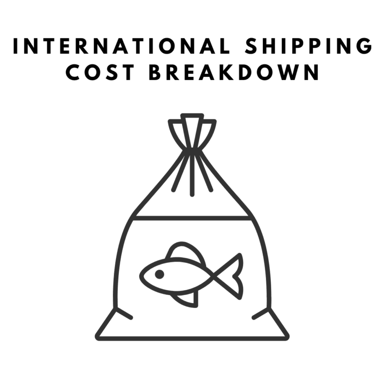 International Betta Shipping Cost Breakdown