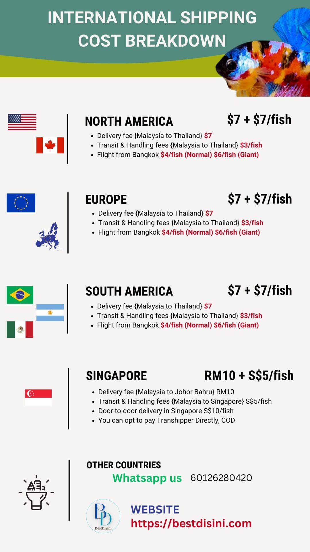 International Betta Shipping Cost Breakdown