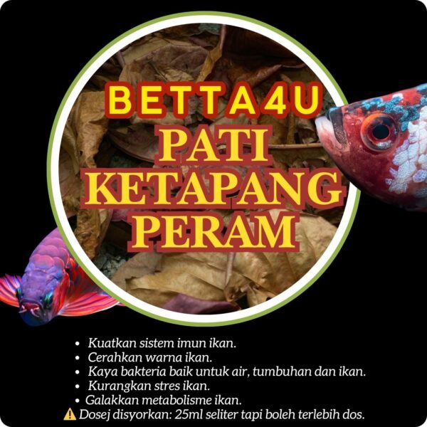 Pati Ketapang Peraman